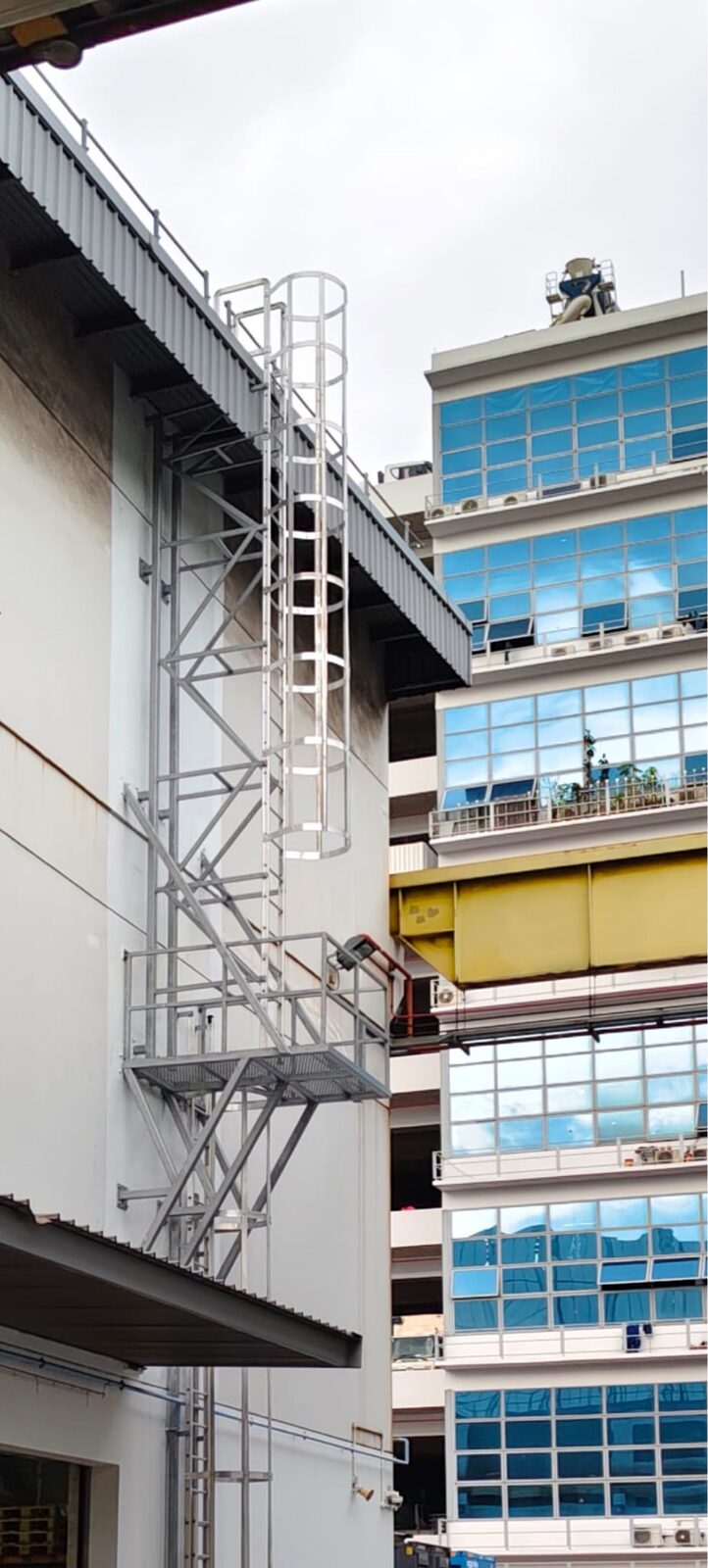 Buroh Street cat ladder elevation view from courtyard between buildings